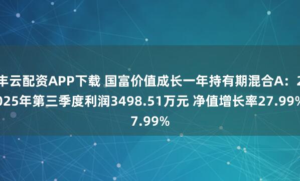 丰云配资APP下载 国富价值成长一年持有期混合A:2025年第三季度利润3498.51万元 净值增长率27.99%