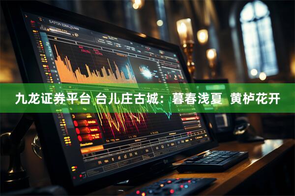 九龙证券平台 台儿庄古城：暮春浅夏  黄栌花开