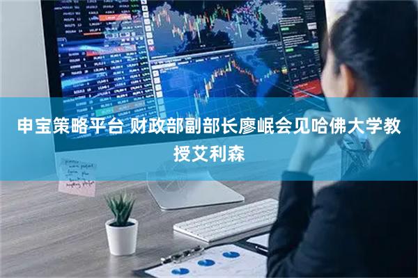 申宝策略平台 财政部副部长廖岷会见哈佛大学教授艾利森